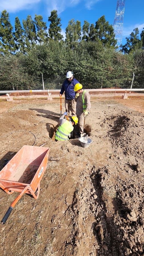 Separadores de aceite de planta